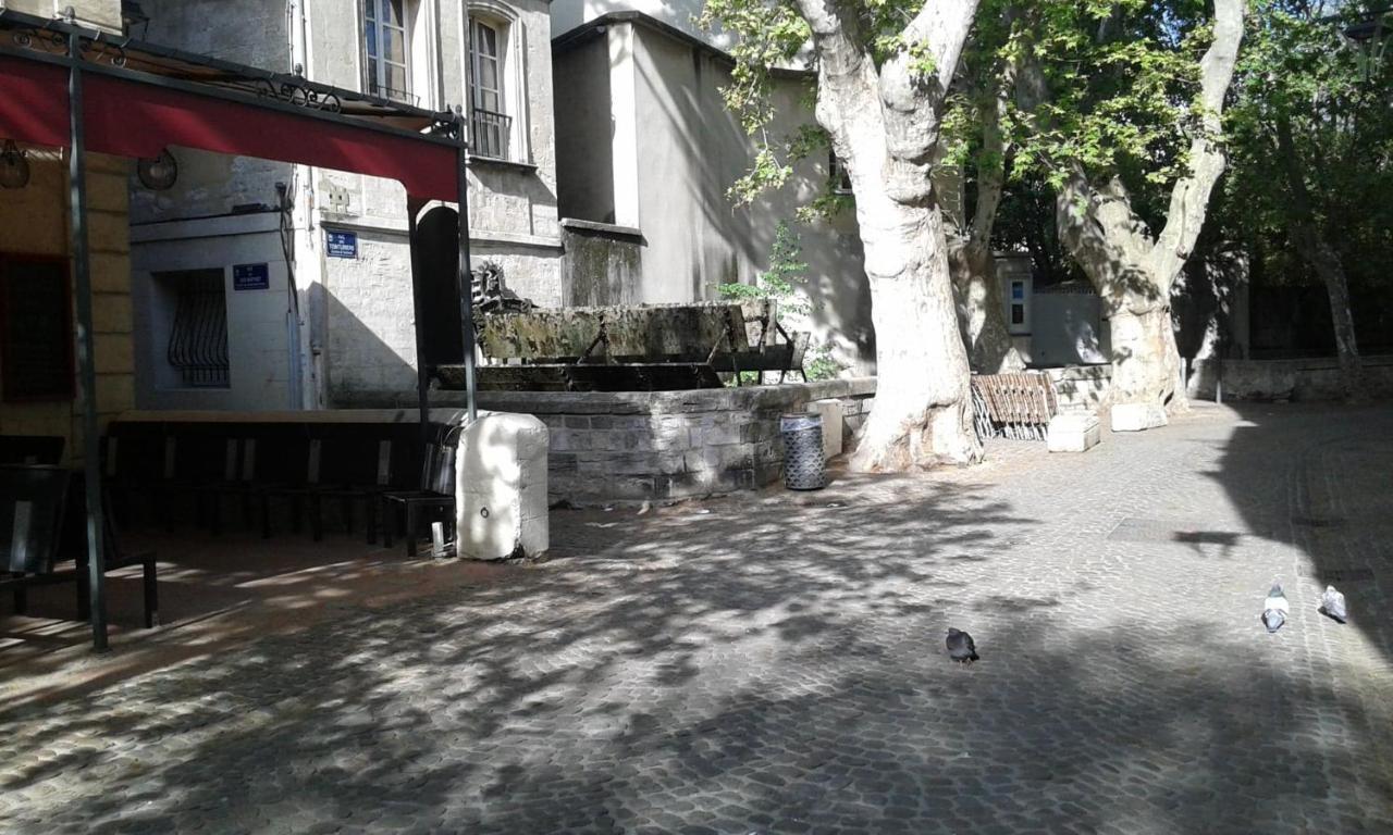 Chambre Sur Jardin Secret - Avignon Centre - Climatisee Dış mekan fotoğraf