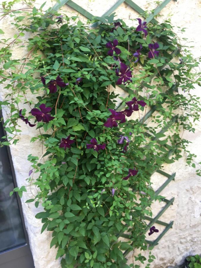 Chambre Sur Jardin Secret - Avignon Centre - Climatisee Dış mekan fotoğraf